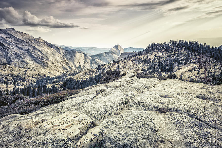Half Dome View Photograph by Alexander Kunz