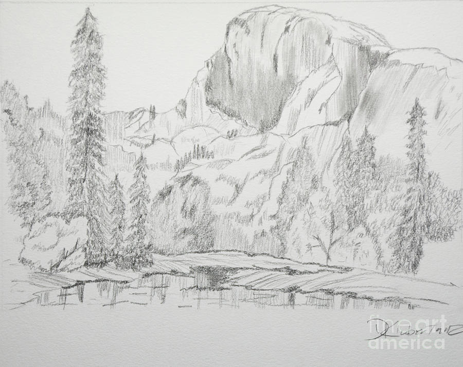 Yosemite National Park Drawing - Half Dome, Yosemite by Deborah Klubertanz