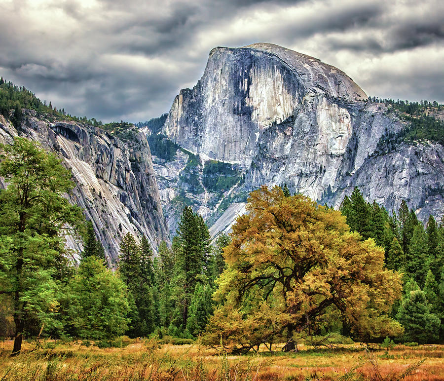 Half Dome Yosemite Photograph by Deidre Elzer-Lento