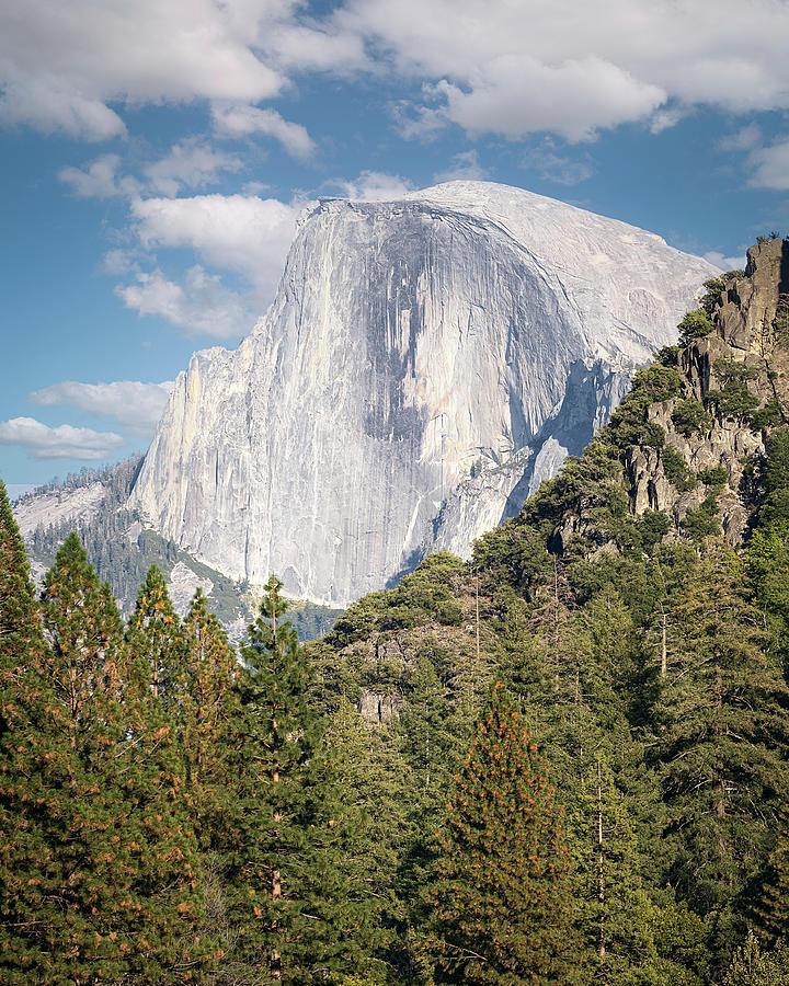 Half Dome Yosemite Photograph by Gary Geddes