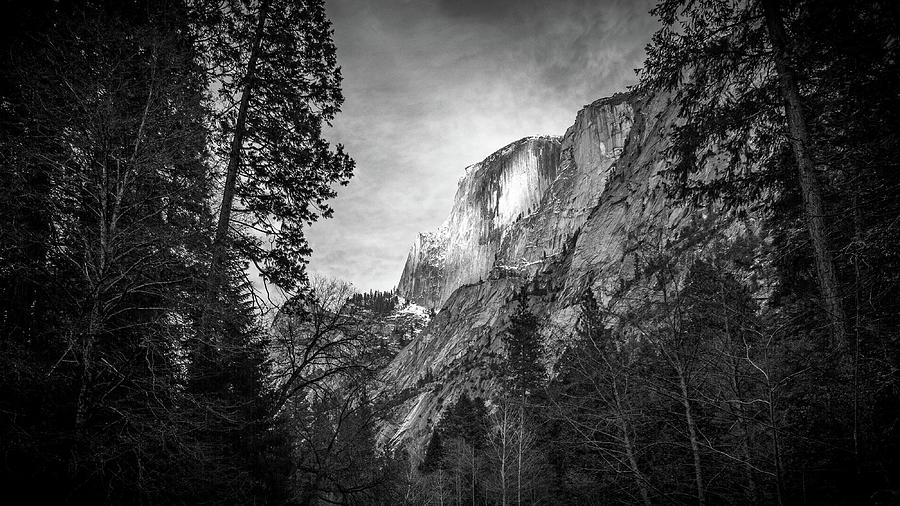 Half Dome Yosemite Photograph by Mike Fusaro
