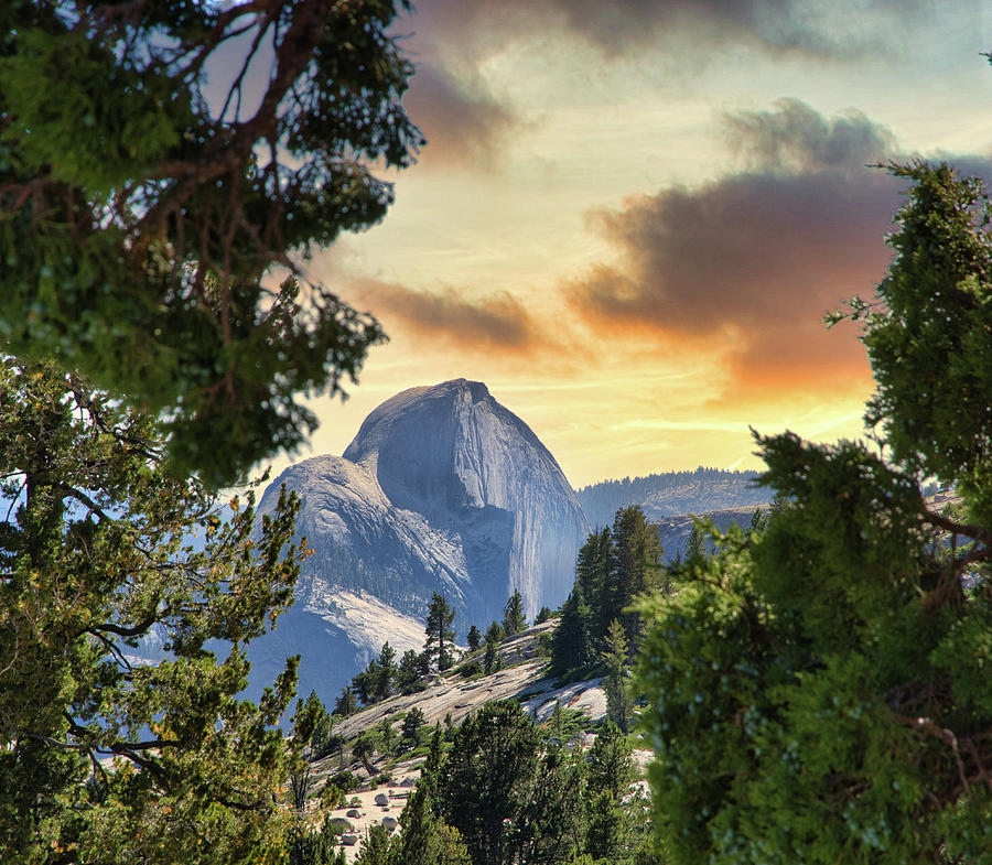 Half Dome Yosemite Park Photograph by Randall Branham