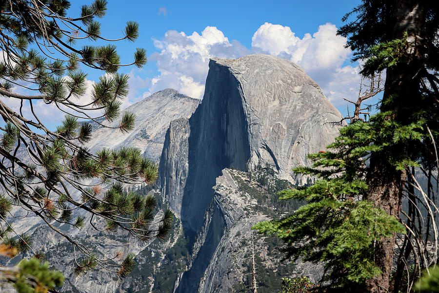 Half Dome Yosemite Photograph by Robert Blandy Jr