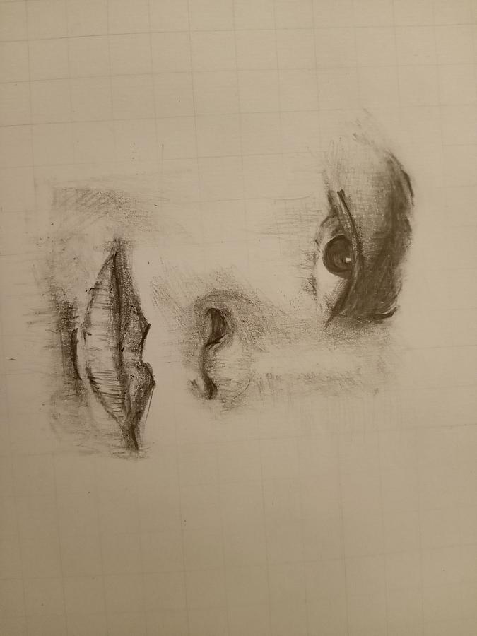 Half face sketch  Brookes sketchs  Drawings  Illustration People   Figures Male Form Clothed  ArtPal