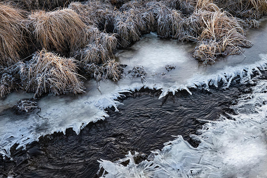 Half Frozen Creek Photograph by Karen Rispin