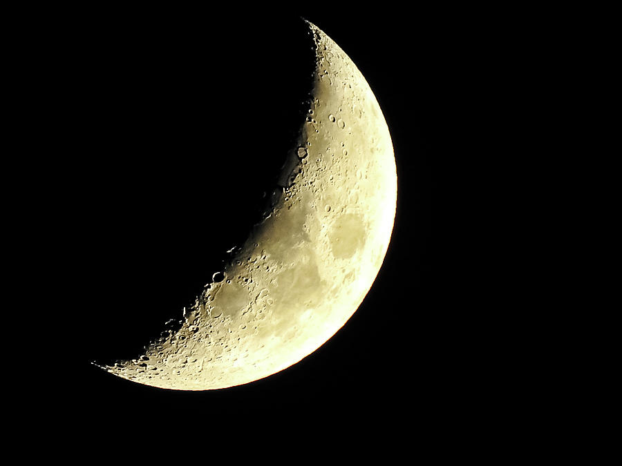 Half Moon at Night Photograph by Suzanne Torres Tankersley - Pixels