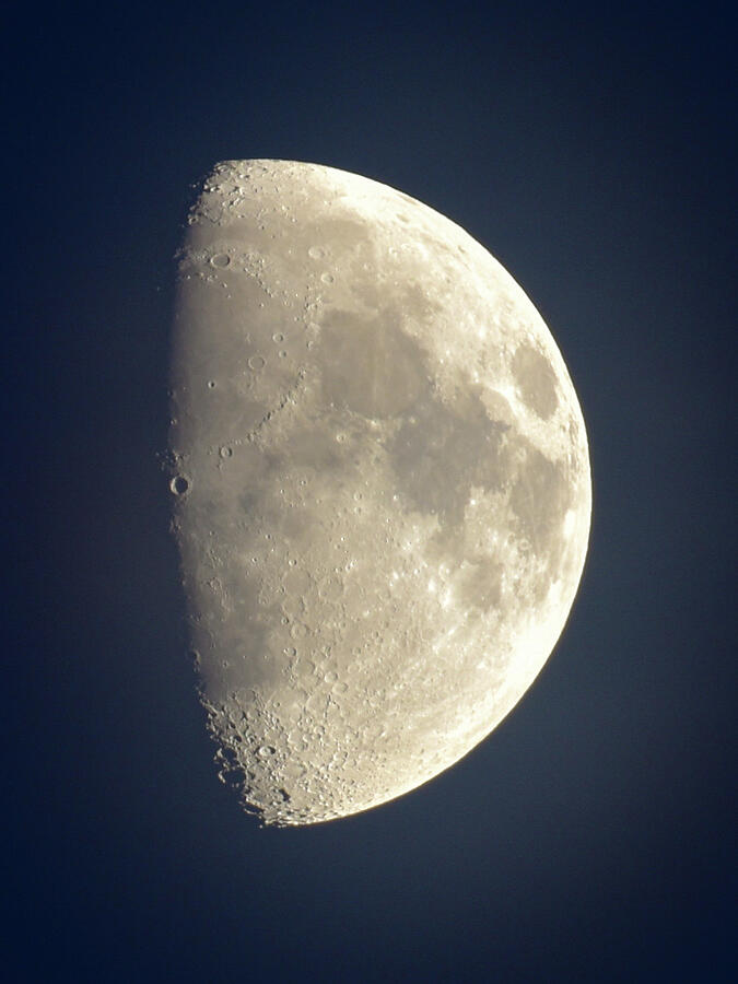 Half Moon Photograph by Susie Loechler Half Moon Photograph by Susie Loechler