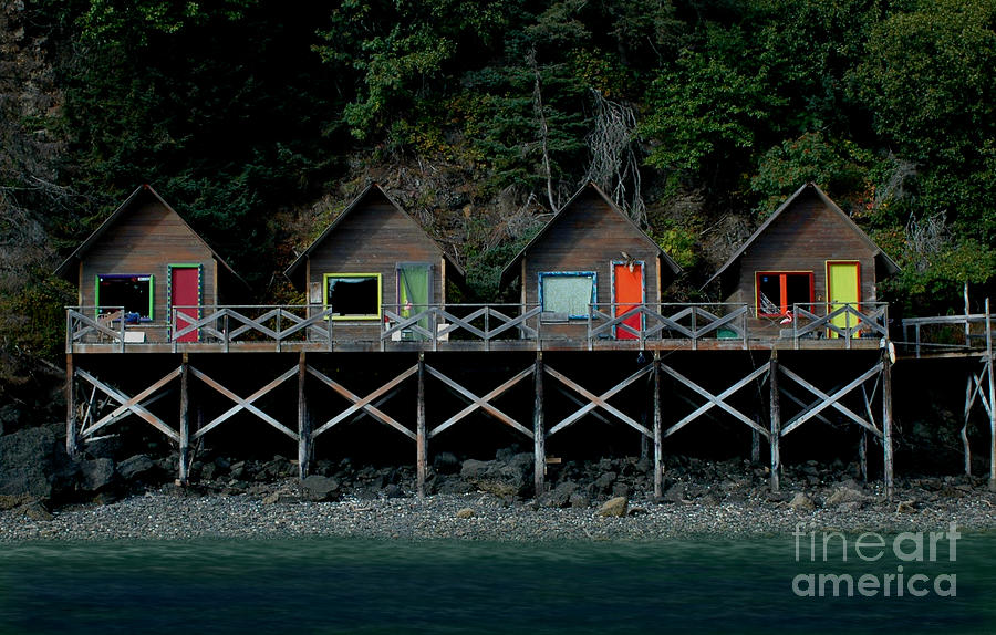 Halibut Cove Cabins Digital Art by Doug Gist