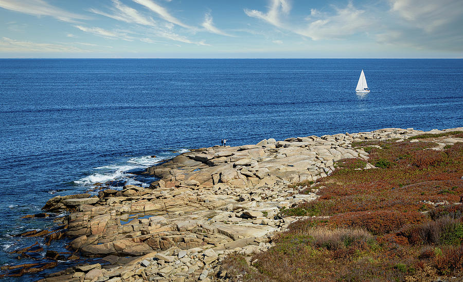 Halibut Point Ocean View Photograph by Steve Rosenbach Fine Art America