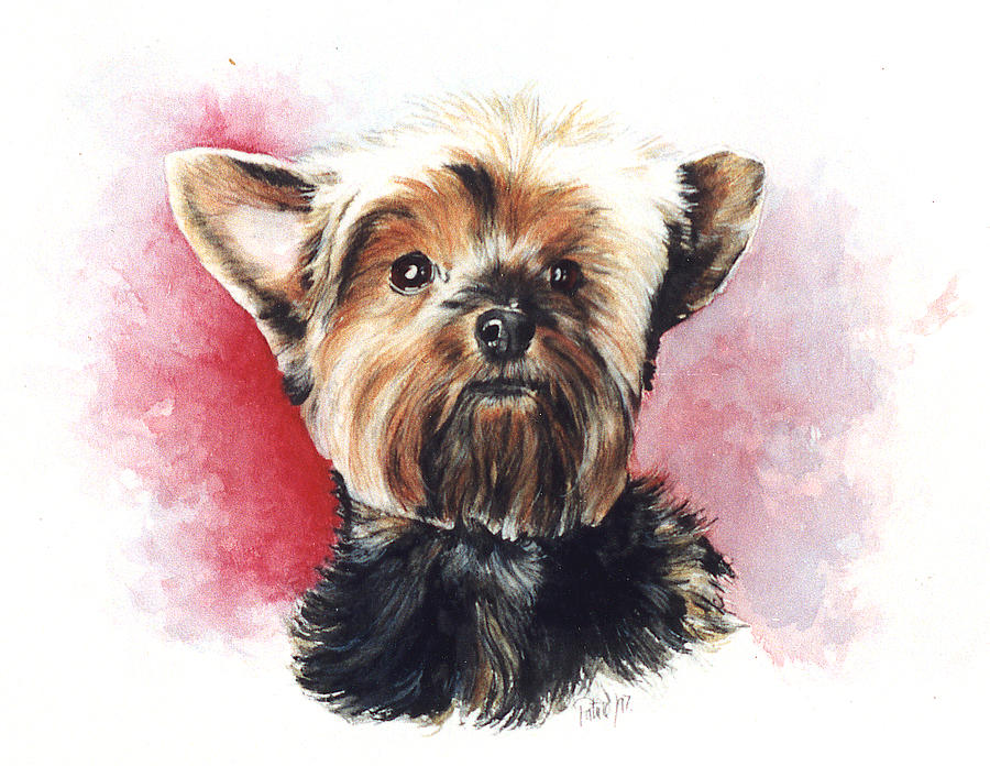Hall of Fame Yorkie Hero Painting by Patrice Clarkson