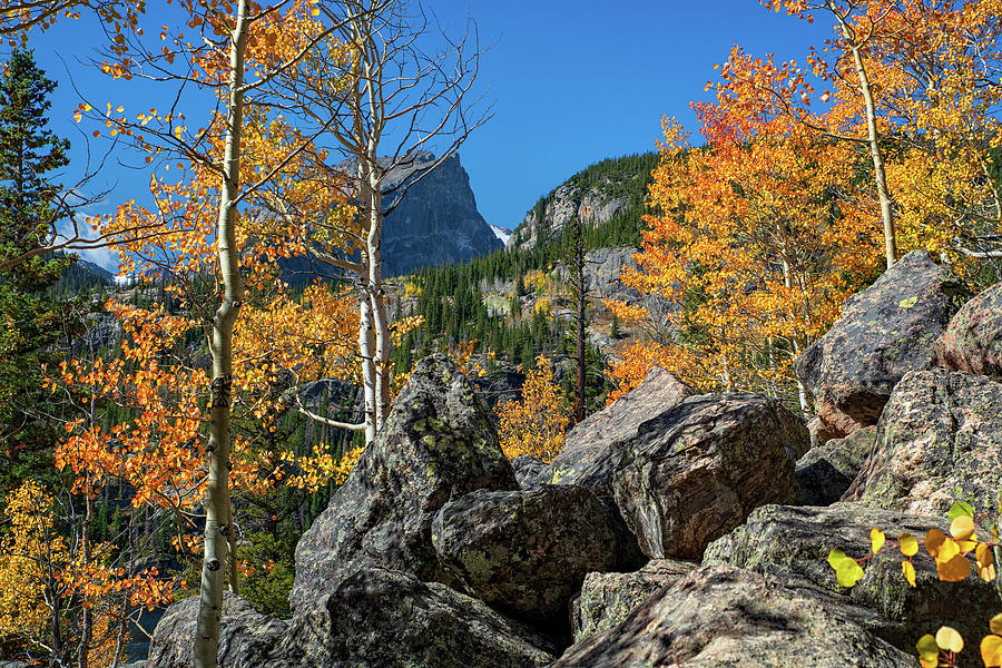 Hallett Peak in Fall Photograph by Darlene Bushue