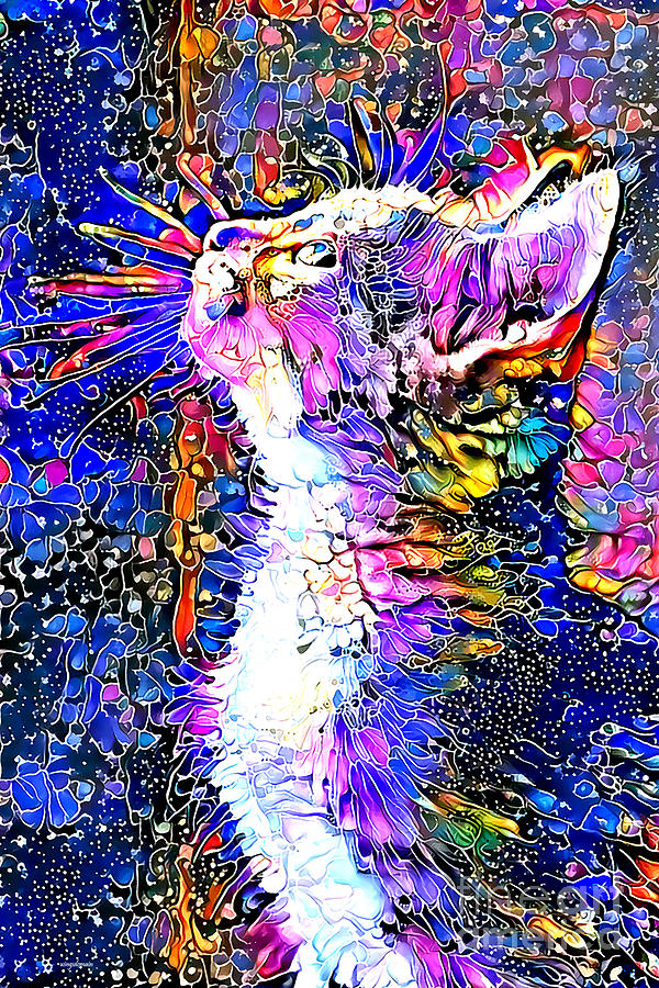 Halley The Stargazer Cat in Contemporary Vibrant Colors 20201016 Photograph by Wingsdomain Art and Photography