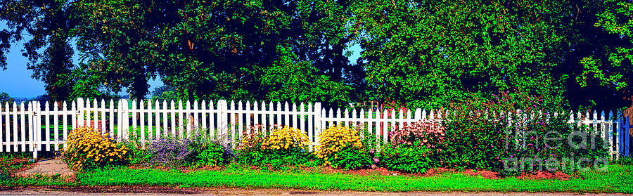 Hallgus Rd Conley Country Rd Picket Fence  Photograph by Tom Jelen