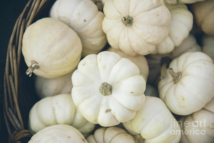 Halloween And Thanksgiving Pumpkins In Basket From Above. Photograph