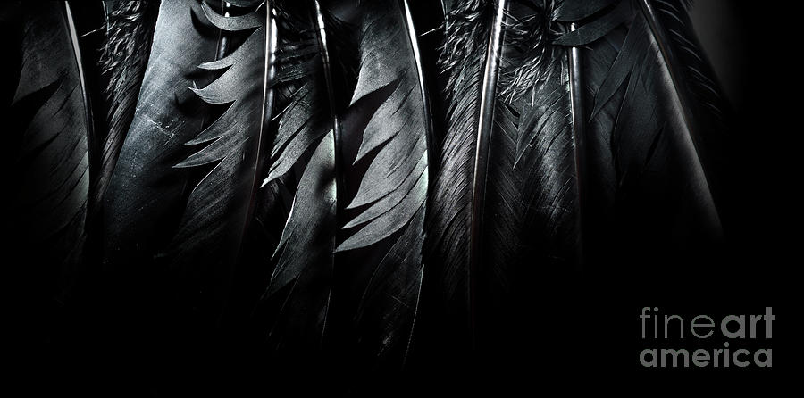 Halloween background with black raven feathers on dark grunge ba Photograph by Jelena Jovanovic