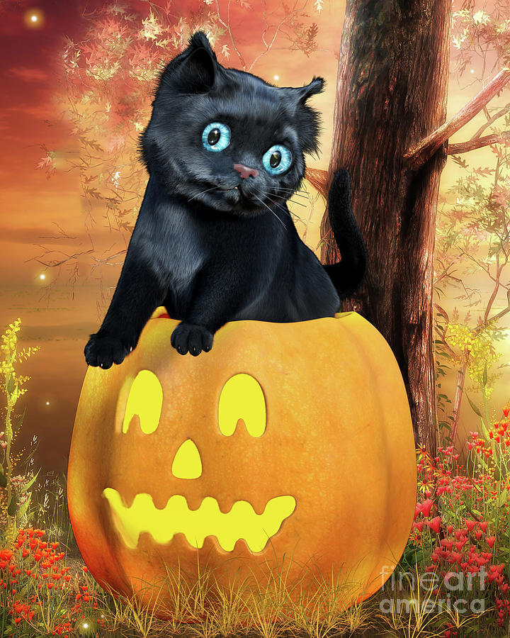 Halloween Black Kitten And Pumpkin Digital Art