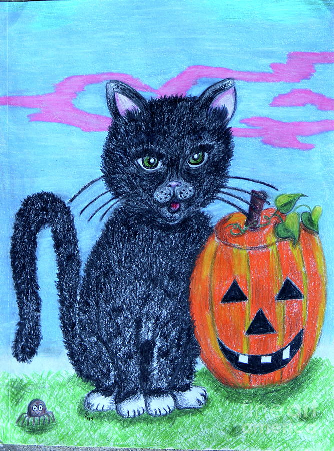 Pumpkin Drawing - Halloween Cat by Sheri Simmons