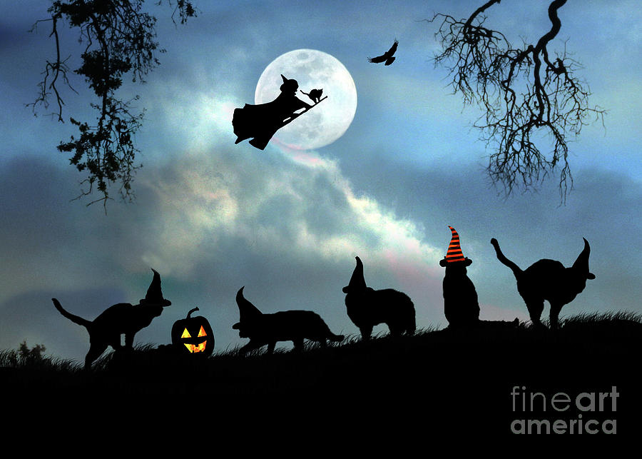 Halloween Cats and Witch Whimsical and Cute Photograph by Stephanie Laird