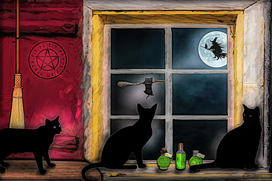 Halloween Cats Photograph by Diana Haronis