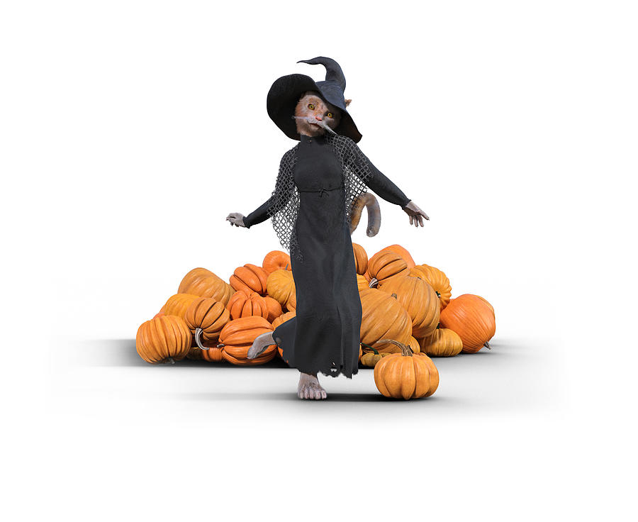 Pumpkin Digital Art - Halloween Charming Cat by Betsy Knapp
