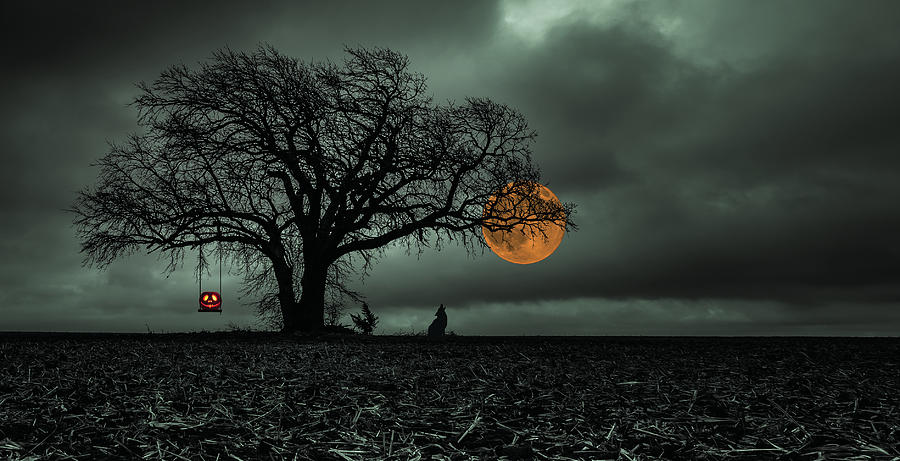 Halloween Photograph - Halloween Composition by Chris Harris