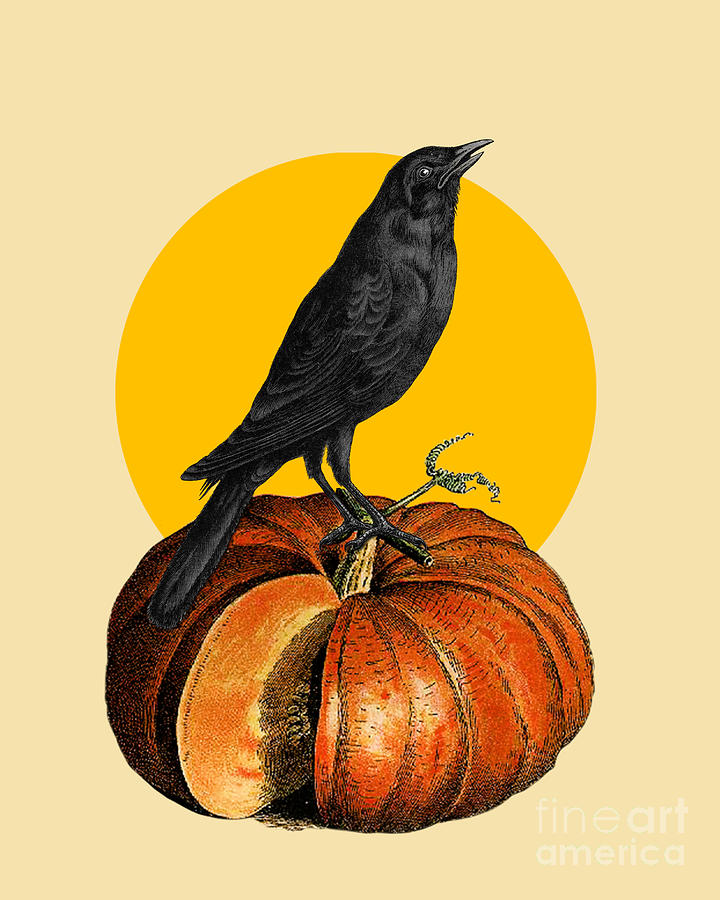 Halloween Digital Art - Halloween crow on a pumpkin by Madame Memento
