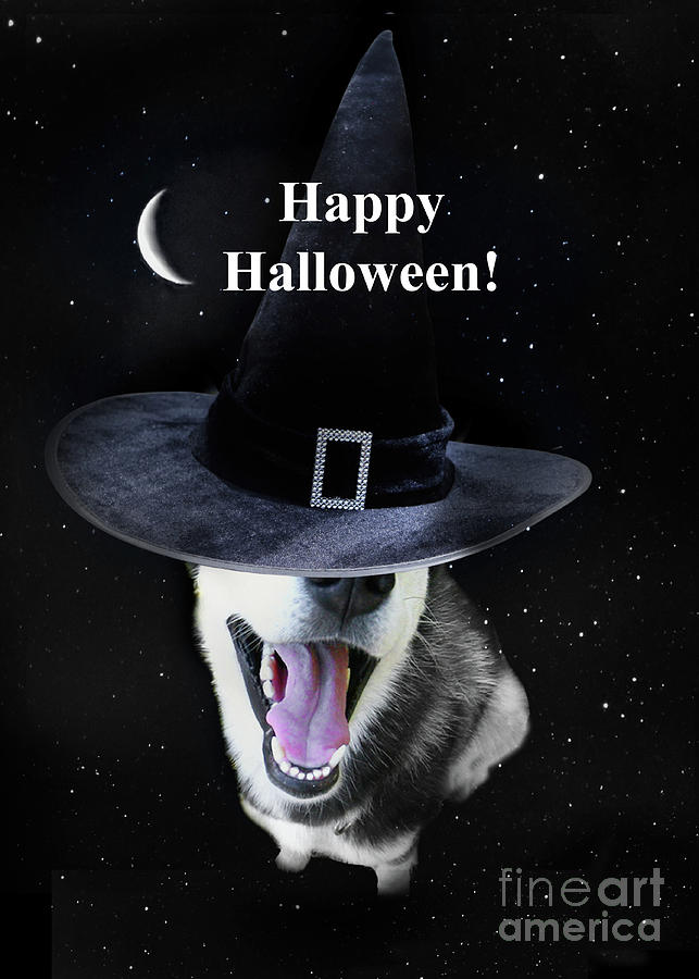 Halloween Cute Witchy Husky Dog and Moon Magical Mystical  Photograph by Stephanie Laird
