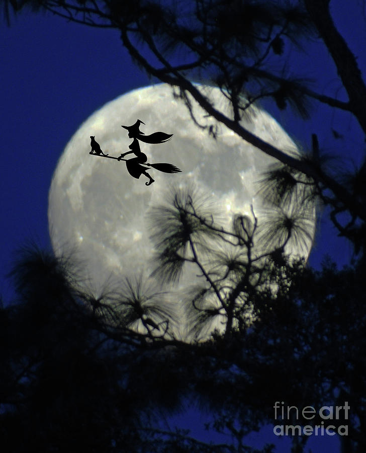 Halloween Full Moon Photograph by D Hackett