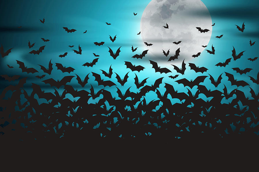 Hocus Pocus Digital Art - Halloween Full Moon Night And Bats spooky Background, Creepy Silhouettes Of Bats by Mounir Khalfouf