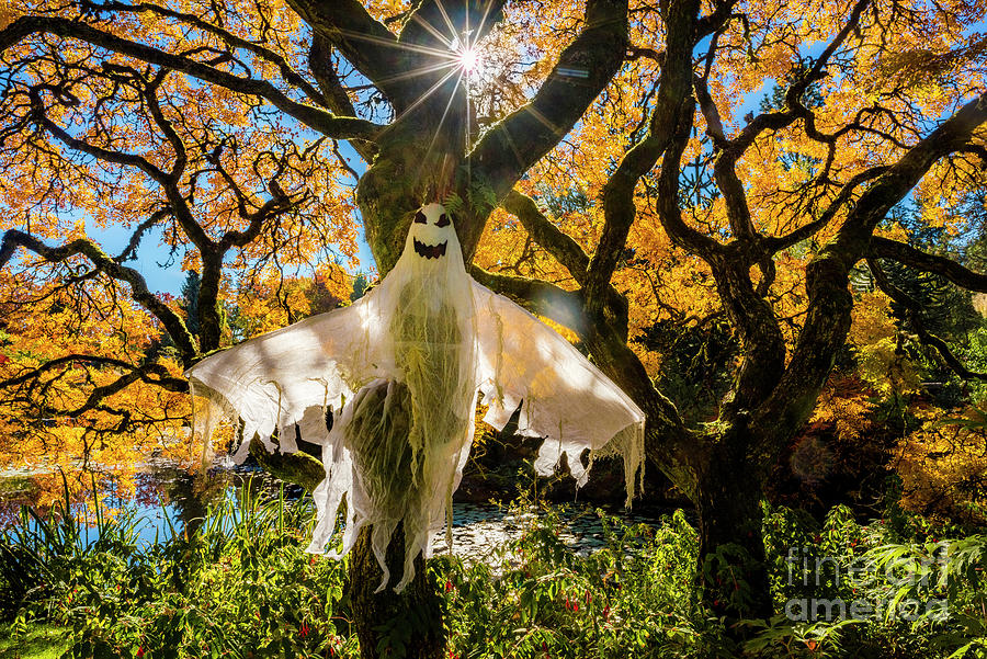 Halloween Ghost Photograph by Michael Wheatley