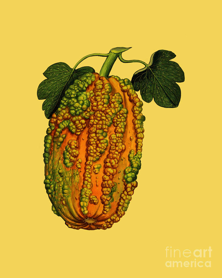 Pumpkin Digital Art - Halloween Gourd by Madame Memento