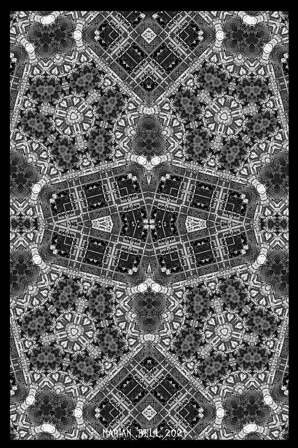 Halloween Grinch in Grayscale Kaleidoscope 2 Digital Art by Marian Bell