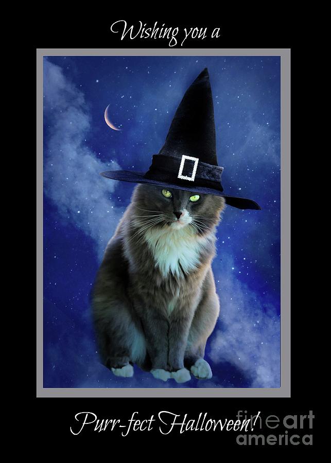 Halloween Kitty with Moon Wishing You A Purrfect Halloween Photograph by Stephanie Laird