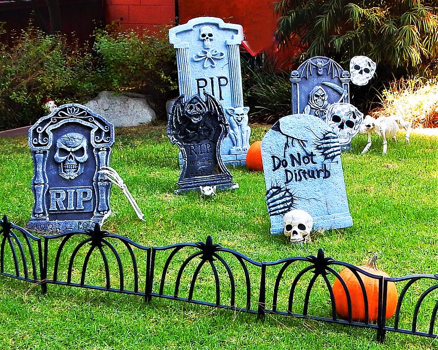 Halloween Lawn Photograph by Andrew Lawrence