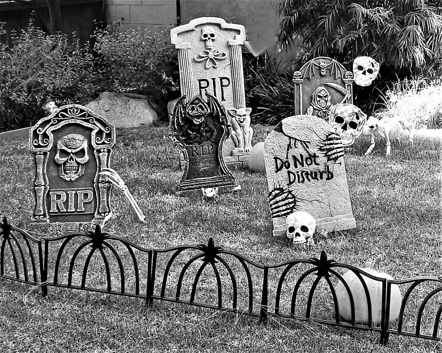 Halloween Lawn BW Photograph by Andrew Lawrence