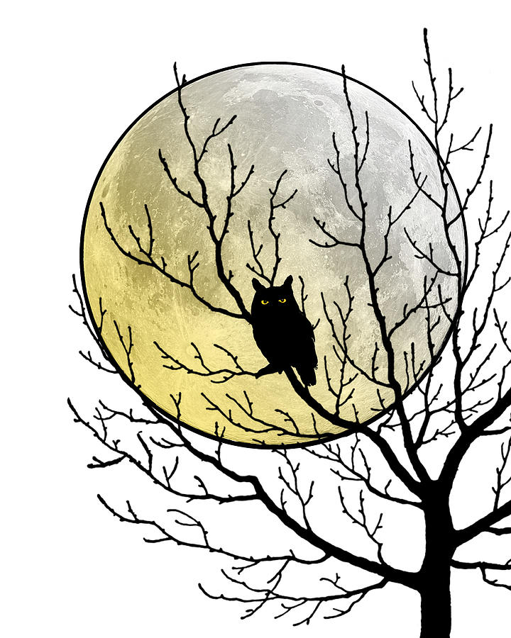 Owl Digital Art - Halloween owl in a tree by Madame Memento
