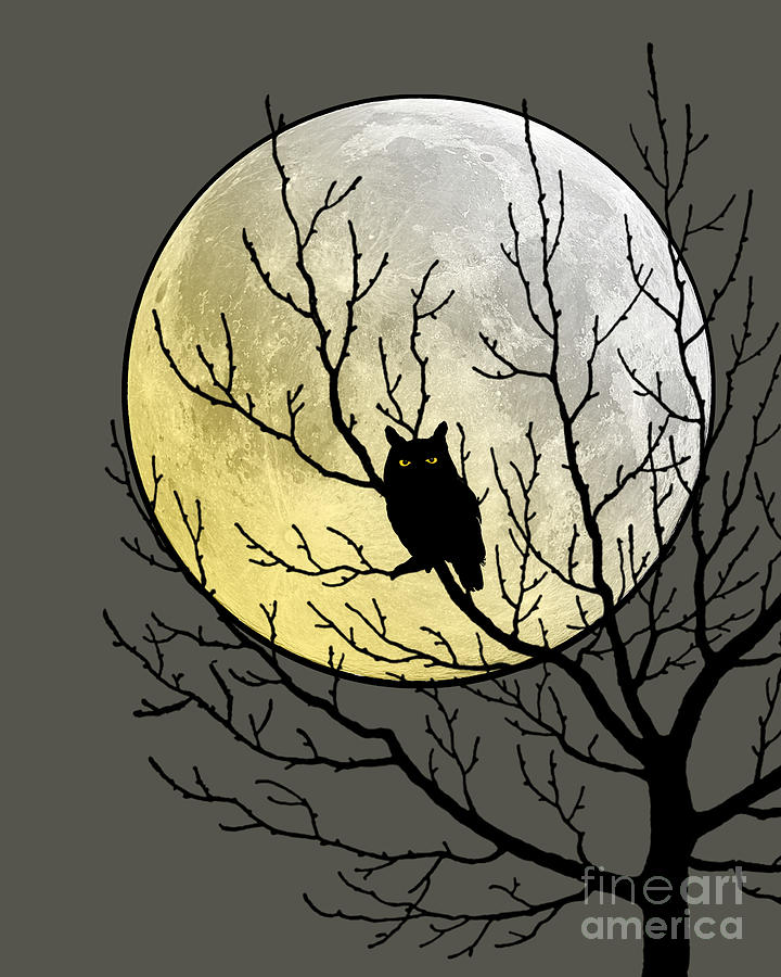 Owl Digital Art - Halloween Owl by Madame Memento