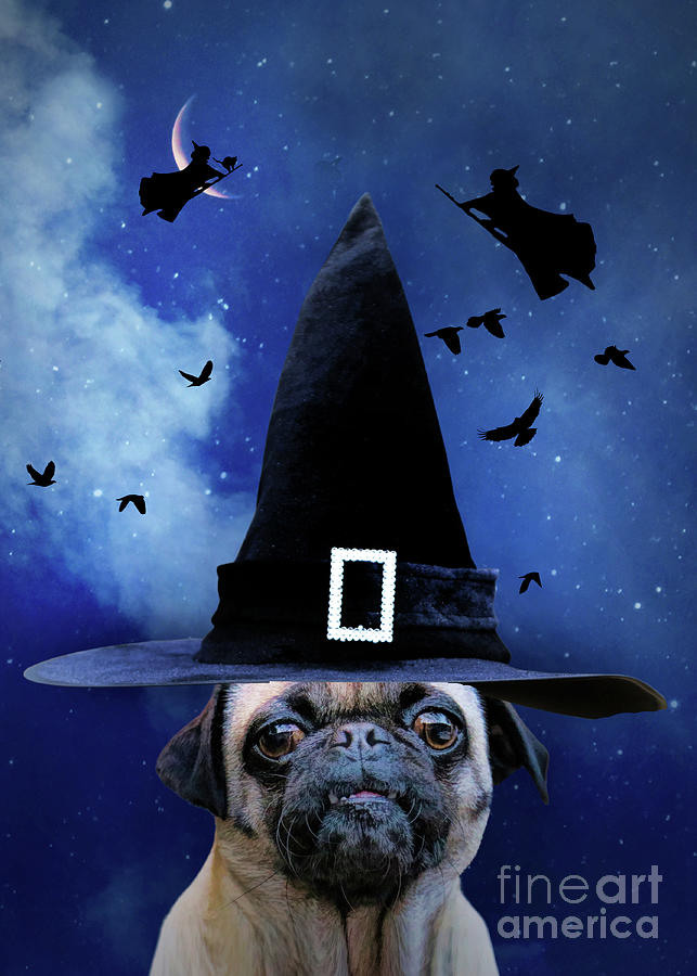 Halloween Pug with Witches Ravens and Cat Crescent Moon Humorous Photograph by Stephanie Laird