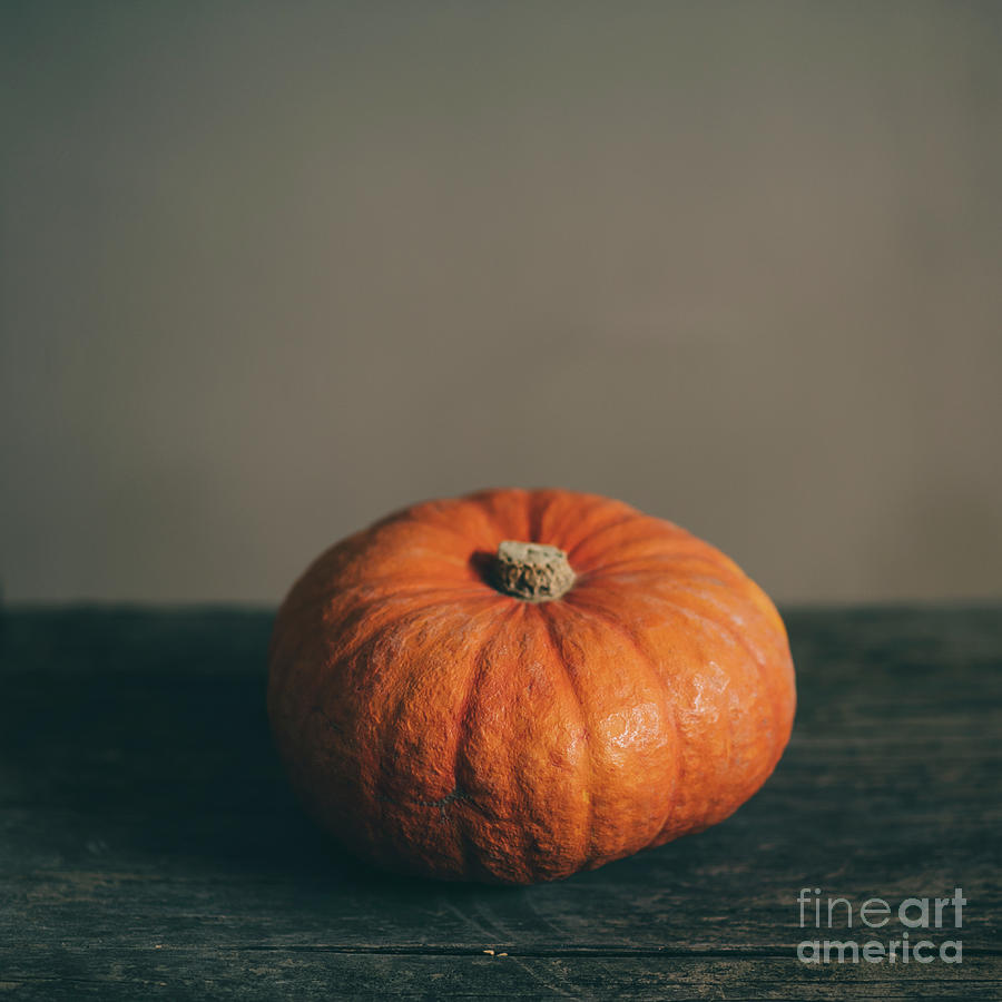 Halloween Pumpkin Still Life. Photograph