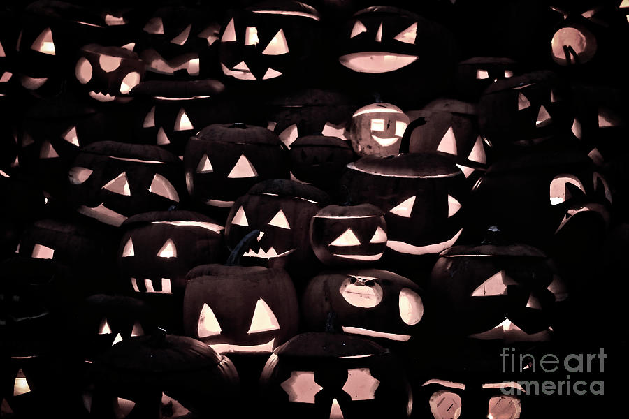Halloween Pumpkins In Black And White Photograph