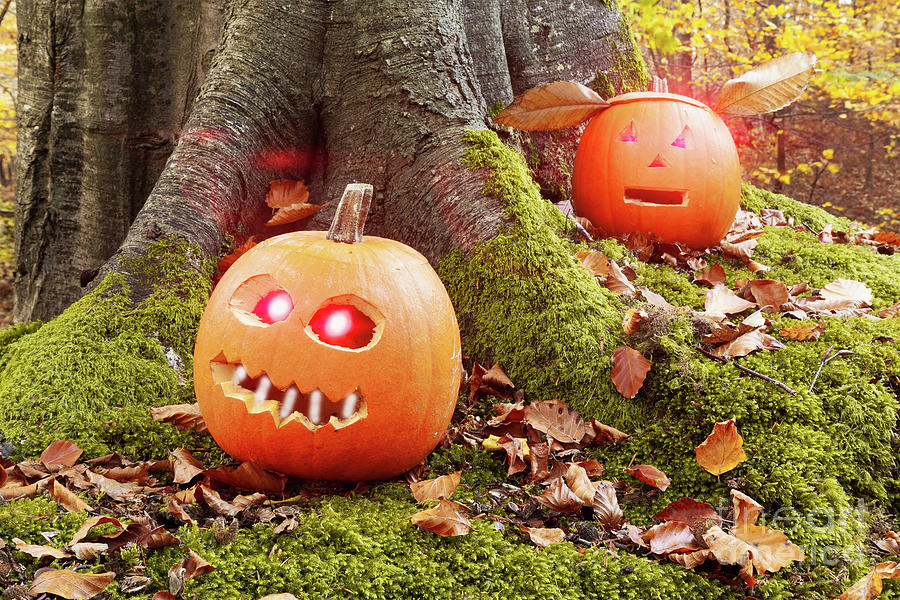 Halloween pumpkins in the forest Photograph by Simon Bratt