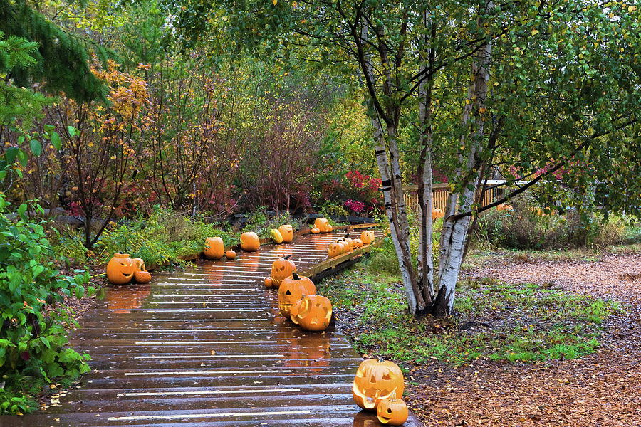 Halloween Pumpkins in the Park  Photograph by Alex Lyubar