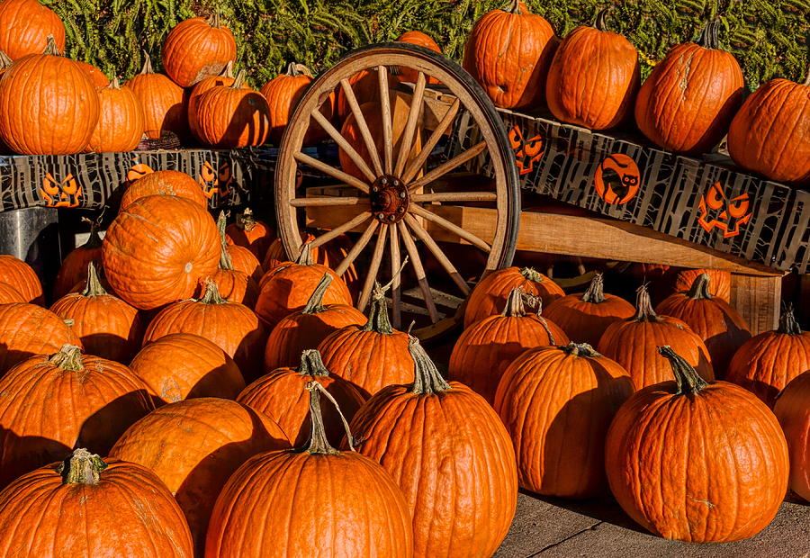 Halloween Pumpkins Photograph by Susan Hope Finley