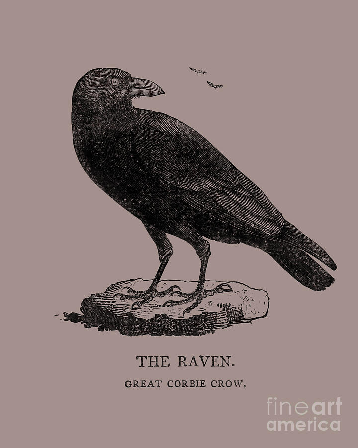 Raven Digital Art - Halloween raven by Madame Memento