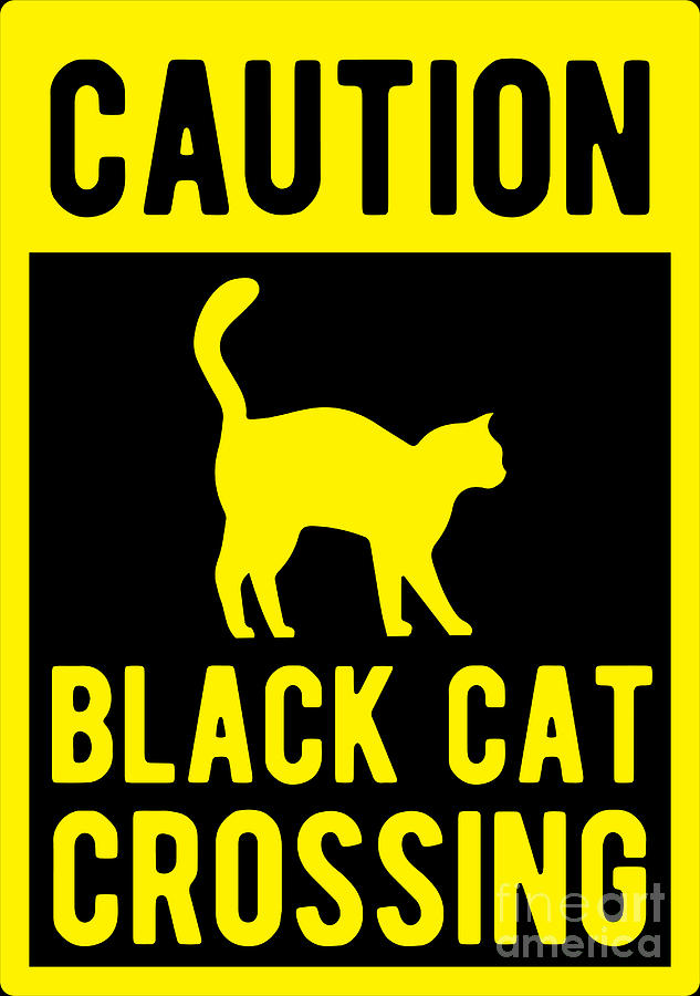 Halloween Shirt Caution Black Cat Crossing Gift Tee Digital Art by ...