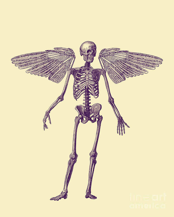 Halloween Digital Art - Halloween skeleton with wings by Madame Memento
