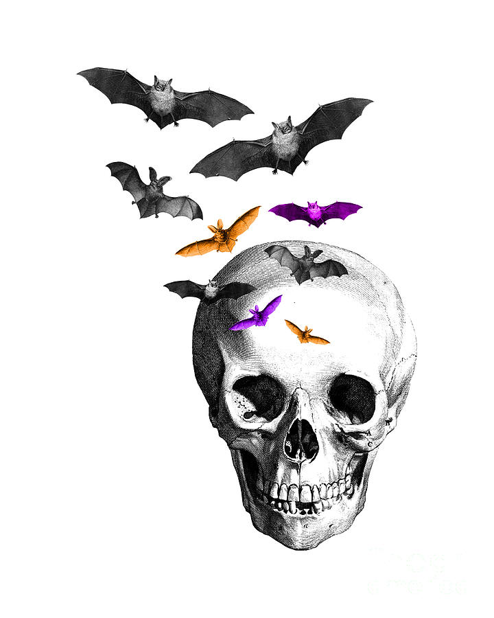 Bat Digital Art - Halloween Skull with Bats by Madame Memento