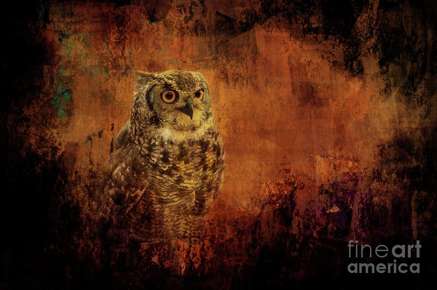 Halloween Spotted Eagle Owl Photograph by Eva Lechner