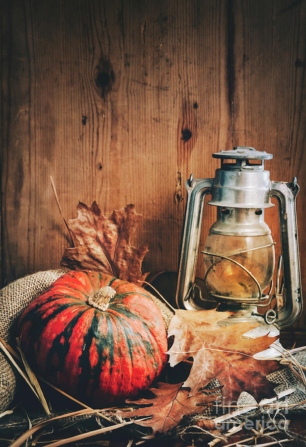 Halloween still life with old lantern and pumpkin Photograph by Jelena Jovanovic