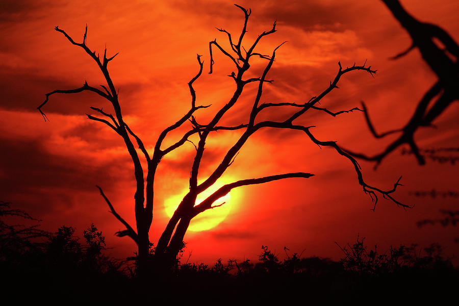 Sunset Photograph - Halloween Sunset by MaryJane Sesto